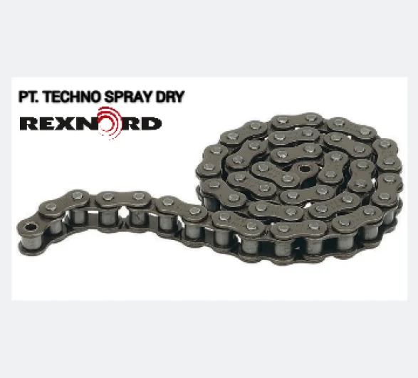 Belt & Chain REXNORD CHAIN 1 capture